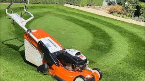 Lawn Mowing Service